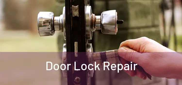 Door Lock Repair