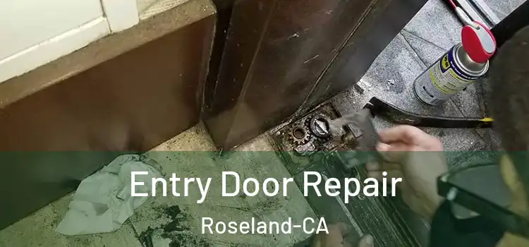  Entry Door Repair Roseland-CA