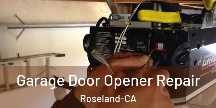  Garage Door Opener Repair Roseland-CA