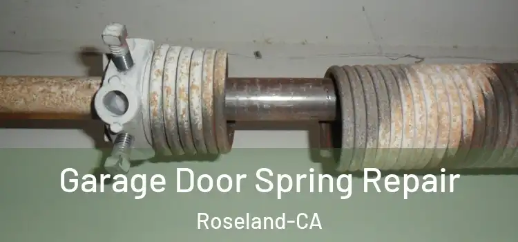 Garage Door Spring Repair Roseland-CA