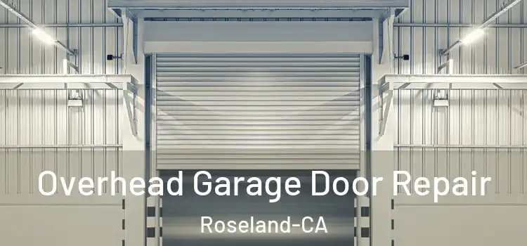  Overhead Garage Door Repair Roseland-CA