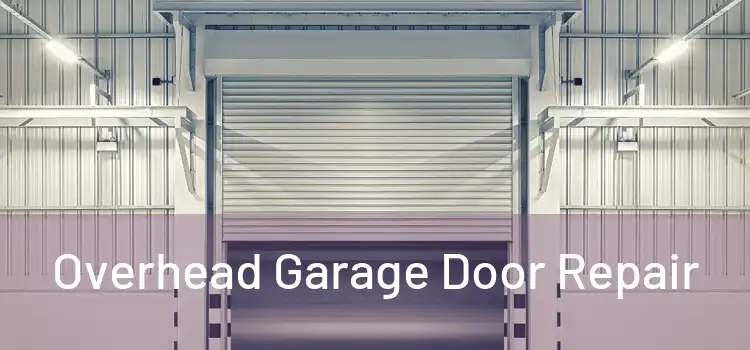  Overhead Garage Door Repair 