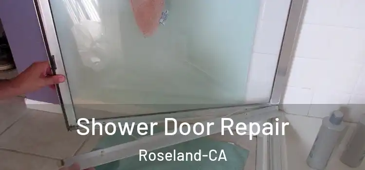Shower Door Repair Roseland-CA
